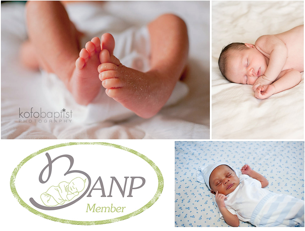 British Association of Newborn Photographers member